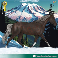 Horse Color:Silver Brown Tobiano 
