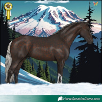 Horse Color:Silver Brown Tobiano 