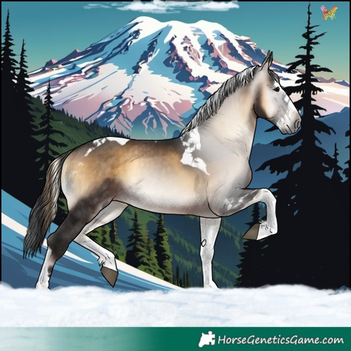 Horse Color:Gray Brown Onyx Splash Tobiano