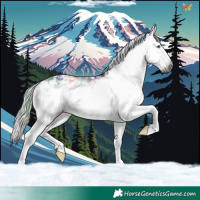 Horse Color:Gray Nacre White Spotted Silver Brown Chinchilla Onyx 