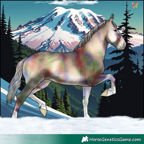 Horse Color:Nacre Silver Brown Onyx 