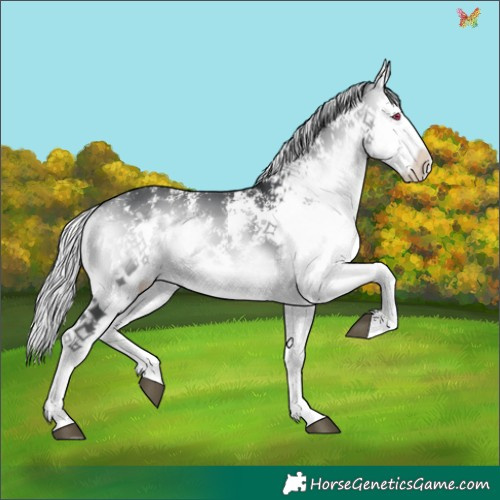 Horse Color:White Spotted Silver Brown Chinchilla Onyx 