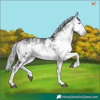 Horse Color:White Spotted Silver Brown Chinchilla Onyx 