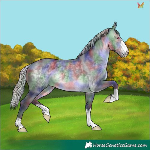 Horse Color:Nacre Silver Brown Chinchilla 