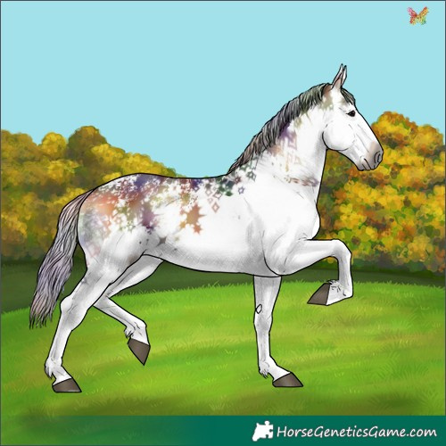Horse Color:Gray Nacre White Spotted Silver Brown Onyx 