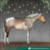 Horse Color:Gray Silver Buckskin Dun Tobiano 
