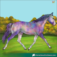 Horse Color:Nacre Watercolor White Spotted Buckskin Onyx Tobiano 