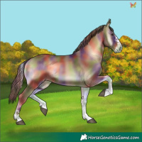 Horse Color:Nacre Red Onyx 