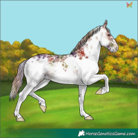 Horse Color:Nacre White Spotted Red Onyx 
