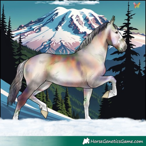 Horse Color:Gray Nacre Liver Red Onyx