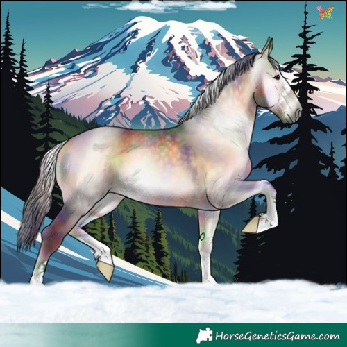 Horse Color:Gray Nacre Liver Red Onyx 