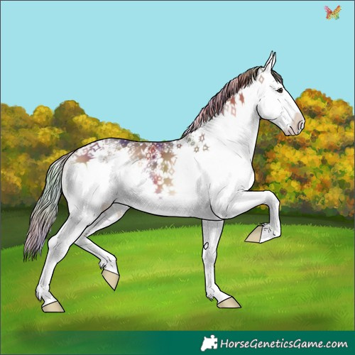 Horse Color:Nacre White Spotted Liver Red Onyx