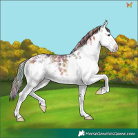 Horse Color:Nacre White Spotted Liver Red Onyx 