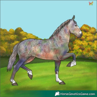 Horse Color:Gray Nacre Silver Buckskin Ice