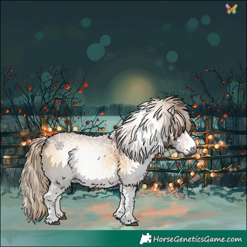 Horse Color:Gray White Spotted Chocolate Palomino Ice Onyx 