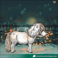 Horse Color:Gray White Spotted Chocolate Palomino Ice Onyx 