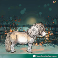 Horse Color:Gray White Spotted Chocolate Palomino Ice Onyx 