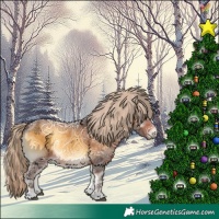 Horse Color:Chocolate Palomino Ice Onyx 