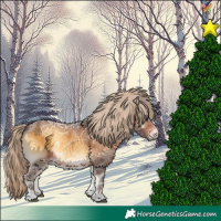 Horse Color:Chocolate Palomino Ice Onyx 