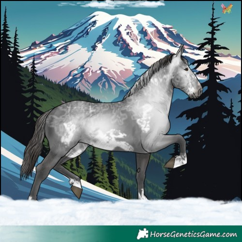 Horse Color:Gray Liver Chestnut Ice Frame 
