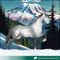 Horse Color:Gray Liver Chestnut Ice Frame 
