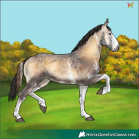 Horse Color:Gray White Spotted Liver Red Onyx Ice 