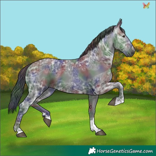 Horse Color:Gray Nacre Liver Chestnut Ice