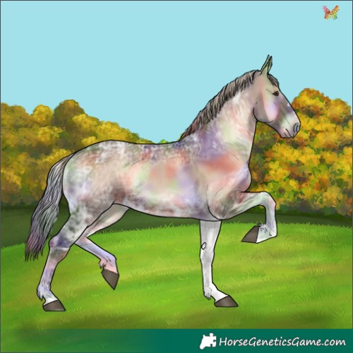 Horse Color:Nacre Liver Red Onyx Ice 