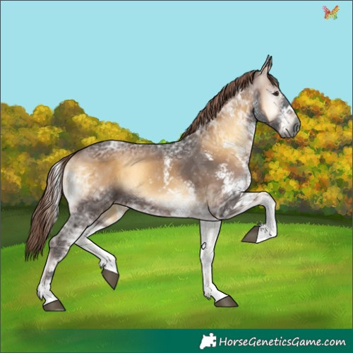 Horse Color:Gray White Spotted Liver Red Onyx Ice 