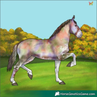 Horse Color:Nacre White Spotted Red Onyx 