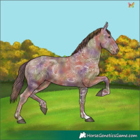 Horse Color:Nacre Chestnut Ice