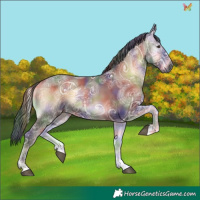 Horse Color:Gray Nacre Liver Red Onyx Ice 