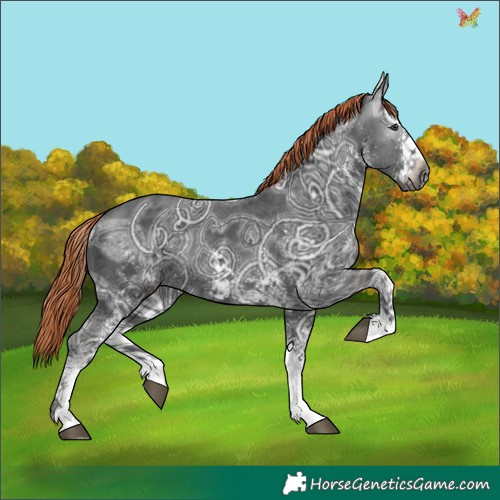 Horse Color:Gray White Spotted Liver Chestnut Ice 