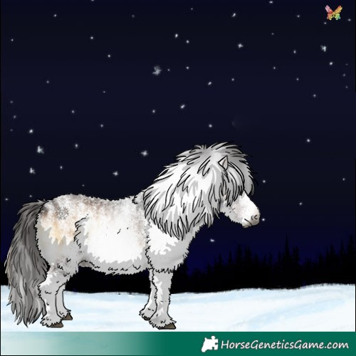 Horse Color:Gray White Spotted Liver Red Onyx 