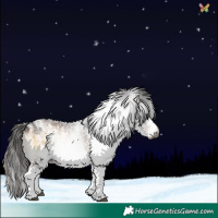 Horse Color:Gray White Spotted Liver Red Onyx