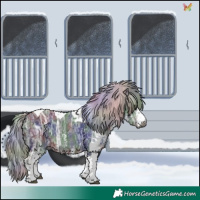 Horse Color:Gray Nacre White Spotted Silver Brown Ice Tobiano 