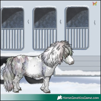 Horse Color:Gray Nacre White Spotted Silver Brown Ice Tobiano