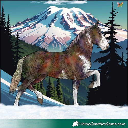 Horse Color:Nacre White Spotted Chocolate Palomino Ice Tobiano 