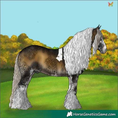 Horse Color:Gray White Spotted Silver Buckskin Ice Onyx Tobiano 