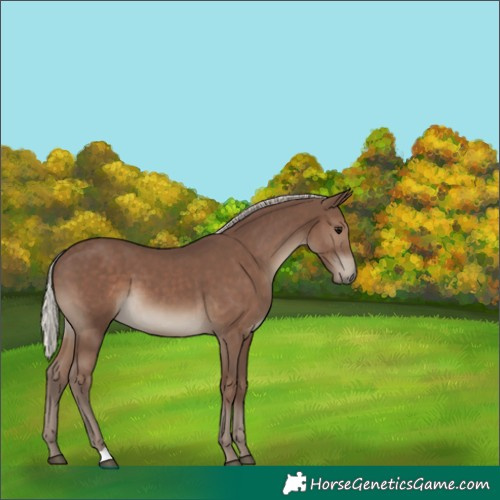 Horse Color:Silver Black 