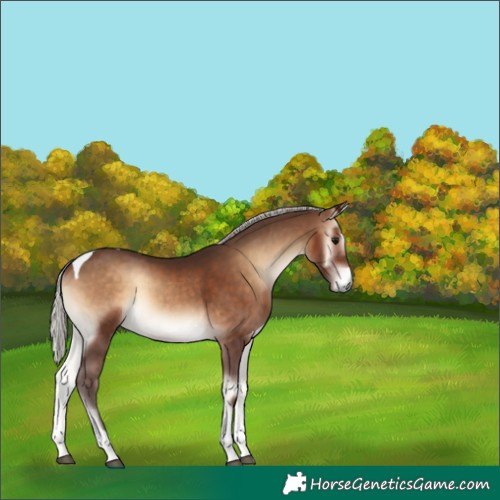 Horse Color:Silver Brown Onyx Tobiano 