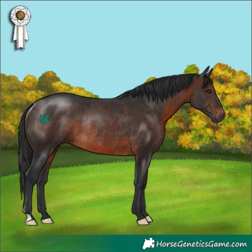 Horse Color:Brown Rabicano 