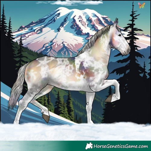 Horse Color:Gray Nacre White Spotted Silver Buckskin Ice Onyx Tobiano 