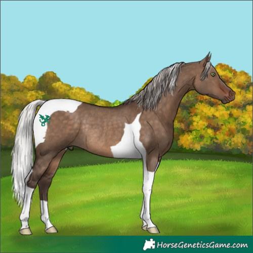 Horse Color:Silver Brown Dun Tobiano Rabicano