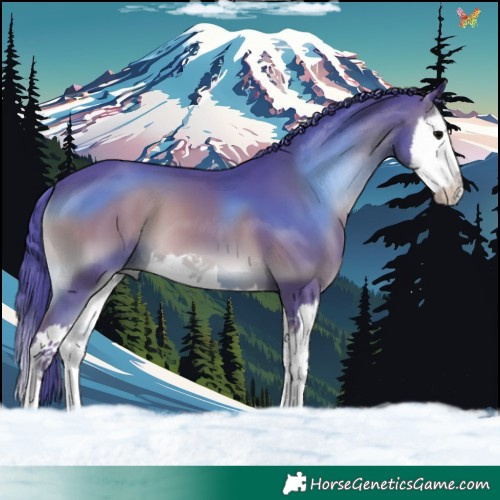 Horse Color:Watercolor Blue Onyx Splash 