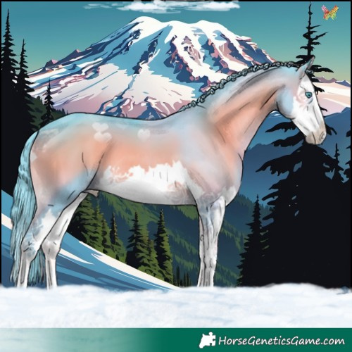 Horse Color:Watercolor Blue Onyx Splash 