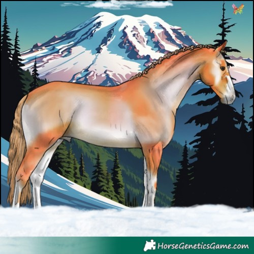 Horse Color:Watercolor Liver Red Onyx 