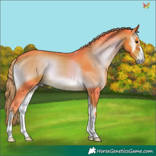 Horse Color:Watercolor Liver Red Onyx