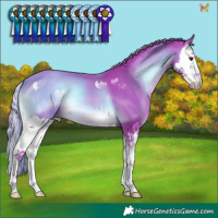 Horse Color:Watercolor Liver Red Onyx Splash