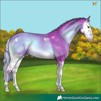 Horse Color:Watercolor Liver Red Onyx Splash